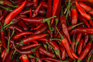 Dépannage volet roulant Cayenne